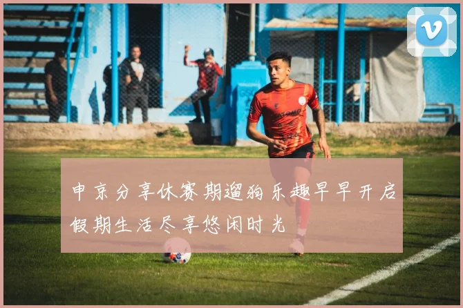 申京分享休赛期遛狗乐趣早早开启假期生活尽享悠闲时光
